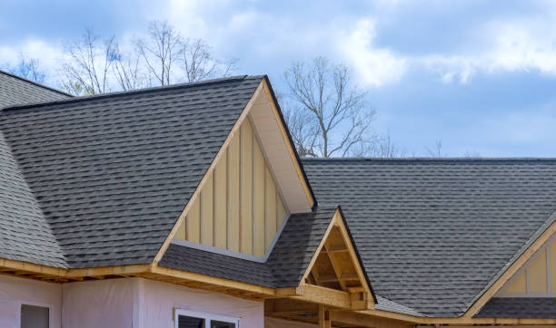 Best Gutter Installation and Repair  in Santo Domingo Pueblo, NM